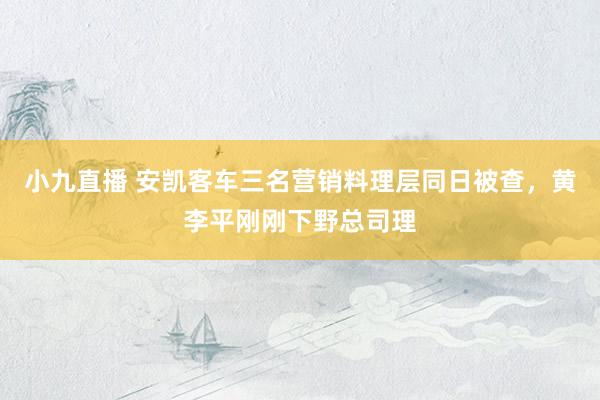 小九直播 安凯客车三名营销料理层同日被查，黄李平刚刚下野总司理
