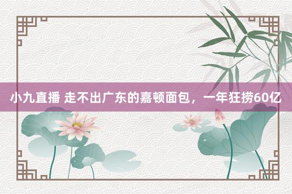 小九直播 走不出广东的嘉顿面包，一年狂捞60亿