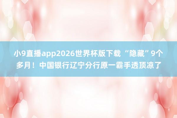 小9直播app2026世界杯版下载 “隐藏”9个多月！中国银行辽宁分行原一霸手透顶凉了
