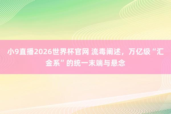 小9直播2026世界杯官网 流毒阐述，万亿级“汇金系”的统一末端与悬念