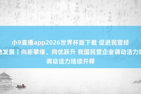小9直播app2026世界杯版下载 促进民营经济高质地发展丨向新攀缘、向优跃升 我国民营企业调动活力络续开释