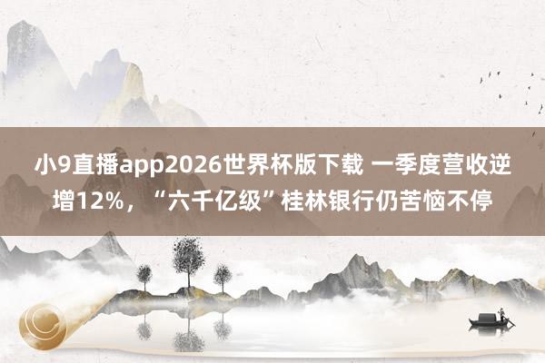 小9直播app2026世界杯版下载 一季度营收逆增12%，“六千亿级”桂林银行仍苦恼不停