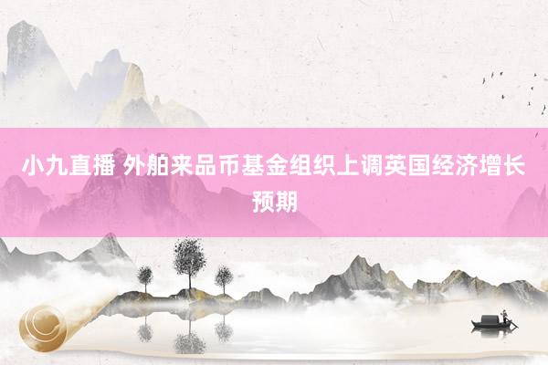 小九直播 外舶来品币基金组织上调英国经济增长预期