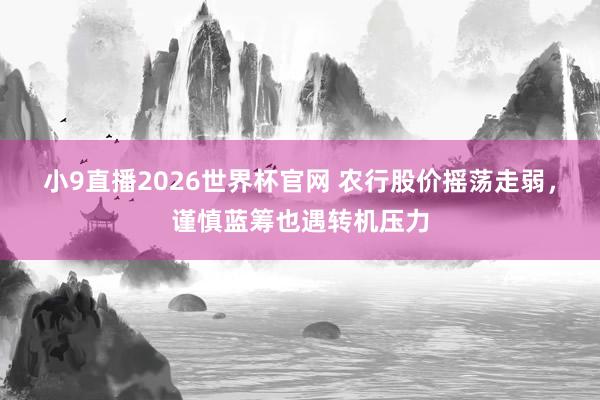 小9直播2026世界杯官网 农行股价摇荡走弱，谨慎蓝筹也遇转机压力