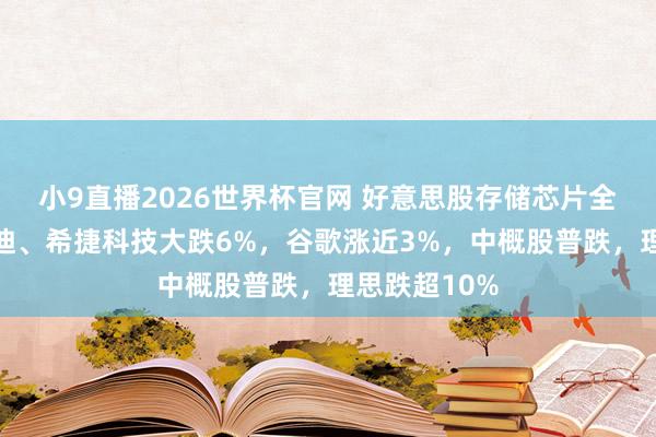小9直播2026世界杯官网 好意思股存储芯片全线重挫，闪迪、希捷科技大跌6%，谷歌涨近3%，中概股普跌，理思跌超10%