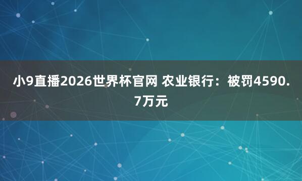 小9直播2026世界杯官网 农业银行：被罚4590.7万元