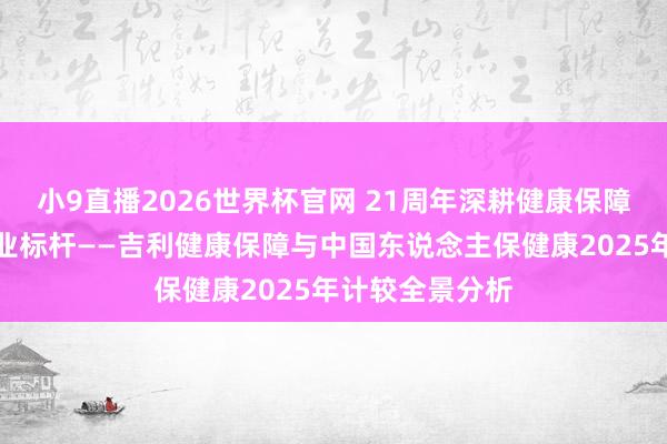 小9直播2026世界杯官网 21周年深耕健康保障，双雄共筑行业标杆——吉利健康保障与中国东说念主保健康2025年计较全景分析