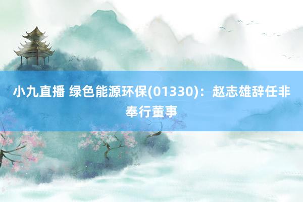 小九直播 绿色能源环保(01330)：赵志雄辞任非奉行董事