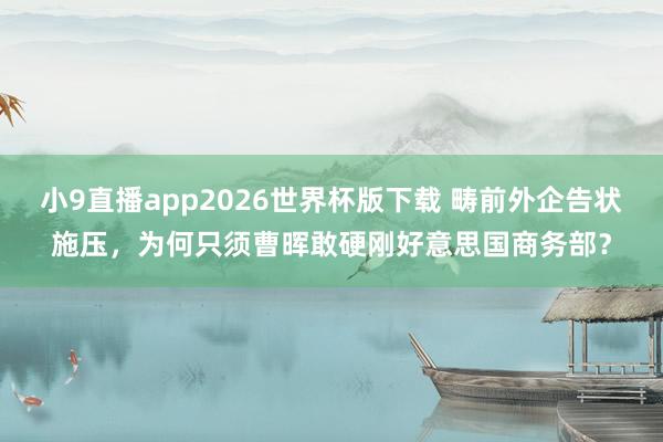 小9直播app2026世界杯版下载 畴前外企告状施压，为何只须曹晖敢硬刚好意思国商务部？