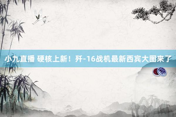 小九直播 硬核上新！歼-16战机最新西宾大图来了
