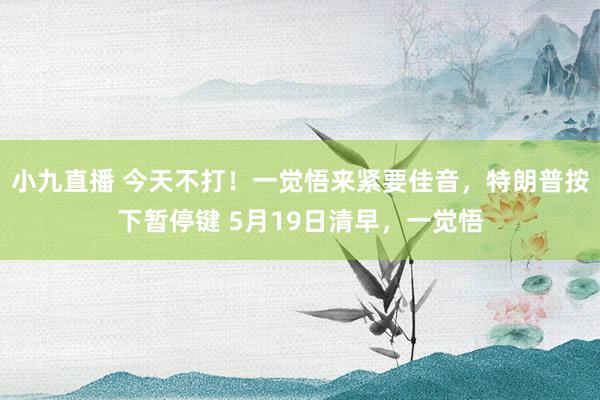 小九直播 今天不打！一觉悟来紧要佳音，特朗普按下暂停键 5月19日清早，一觉悟