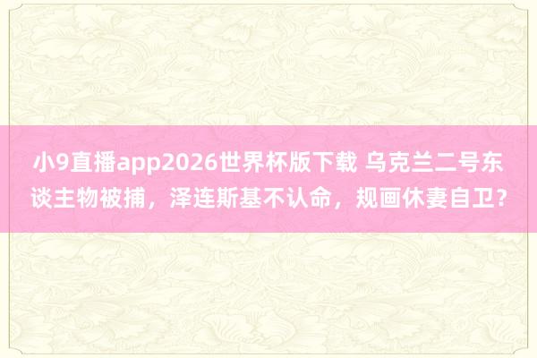 小9直播app2026世界杯版下载 乌克兰二号东谈主物被捕，泽连斯基不认命，规画休妻自卫？