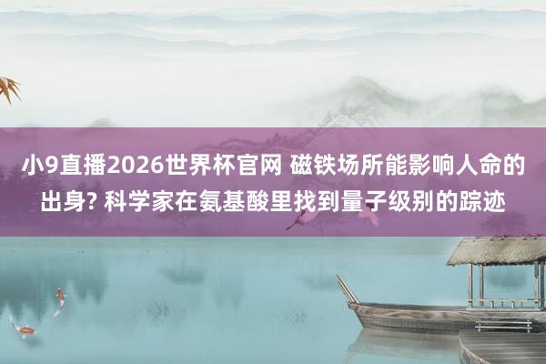 小9直播2026世界杯官网 磁铁场所能影响人命的出身? 科学家在氨基酸里找到量子级别的踪迹