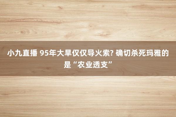 小九直播 95年大旱仅仅导火索? 确切杀死玛雅的是“农业透支”