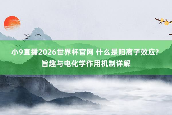 小9直播2026世界杯官网 什么是阳离子效应? 旨趣与电化学作用机制详解