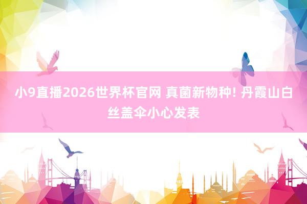小9直播2026世界杯官网 真菌新物种! 丹霞山白丝盖伞小心发表