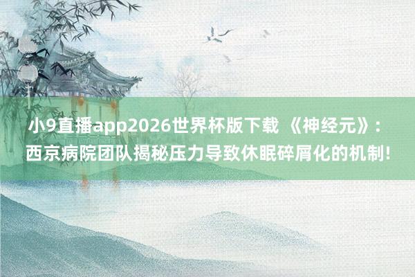 小9直播app2026世界杯版下载 《神经元》: 西京病院团队揭秘压力导致休眠碎屑化的机制!