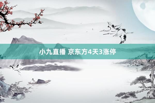 小九直播 京东方4天3涨停