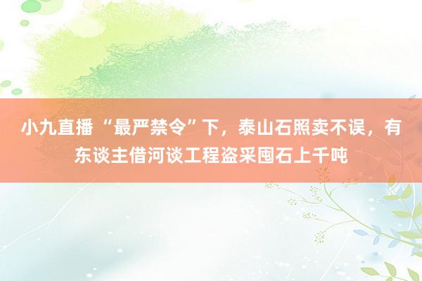 小九直播 “最严禁令”下，泰山石照卖不误，有东谈主借河谈工程盗采囤石上千吨