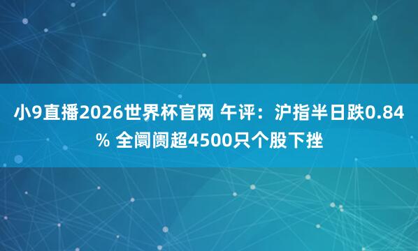 小9直播2026世界杯官网 午评：沪指半日跌0.84% 全阛阓超4500只个股下挫