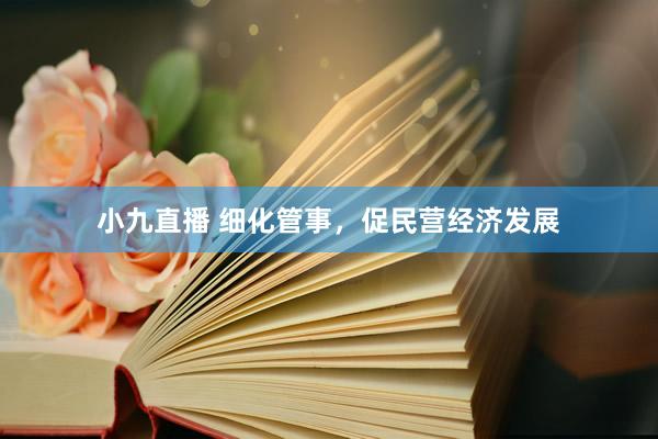 小九直播 细化管事，促民营经济发展