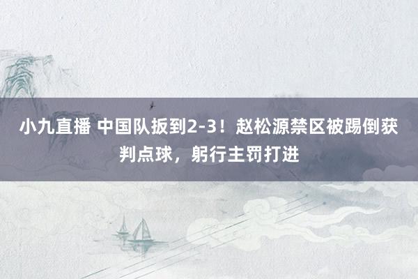 小九直播 中国队扳到2-3！赵松源禁区被踢倒获判点球，躬行主罚打进