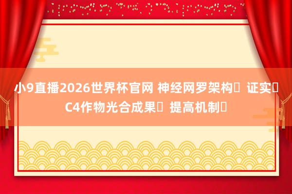 小9直播2026世界杯官网 神经网罗架构证实C4作物光合成果提高机制