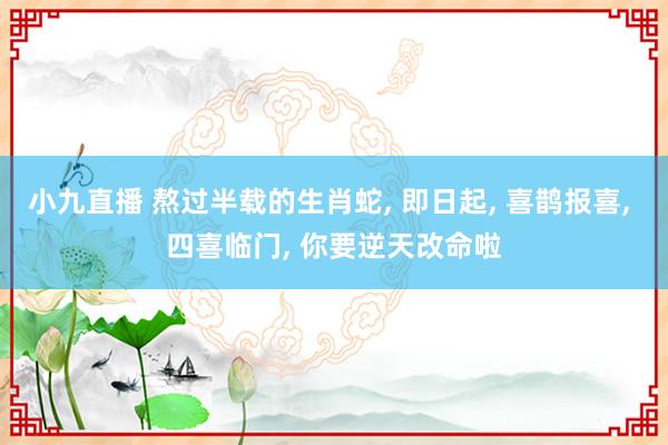 小九直播 熬过半载的生肖蛇， 即日起， 喜鹊报喜， 四喜临门， 你要逆天改命啦