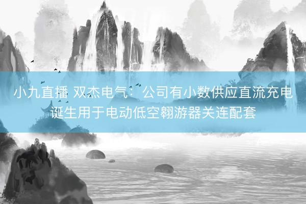 小九直播 双杰电气：公司有小数供应直流充电诞生用于电动低空翱游器关连配套