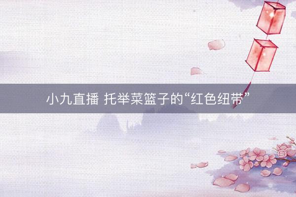 小九直播 托举菜篮子的“红色纽带”