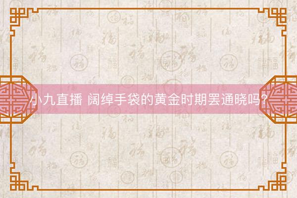 小九直播 阔绰手袋的黄金时期罢通晓吗？