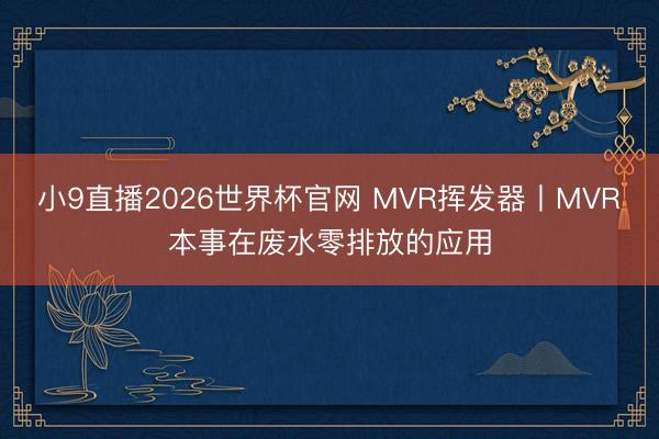 小9直播2026世界杯官网 MVR挥发器丨MVR本事在废水零排放的应用